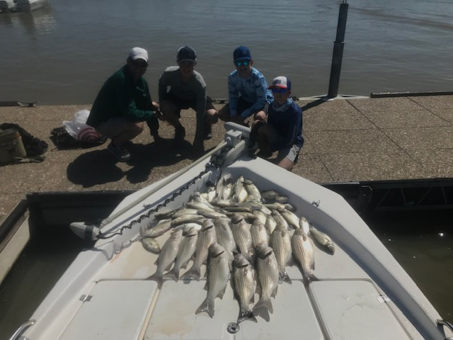 Lake 2025 lewisville fishing